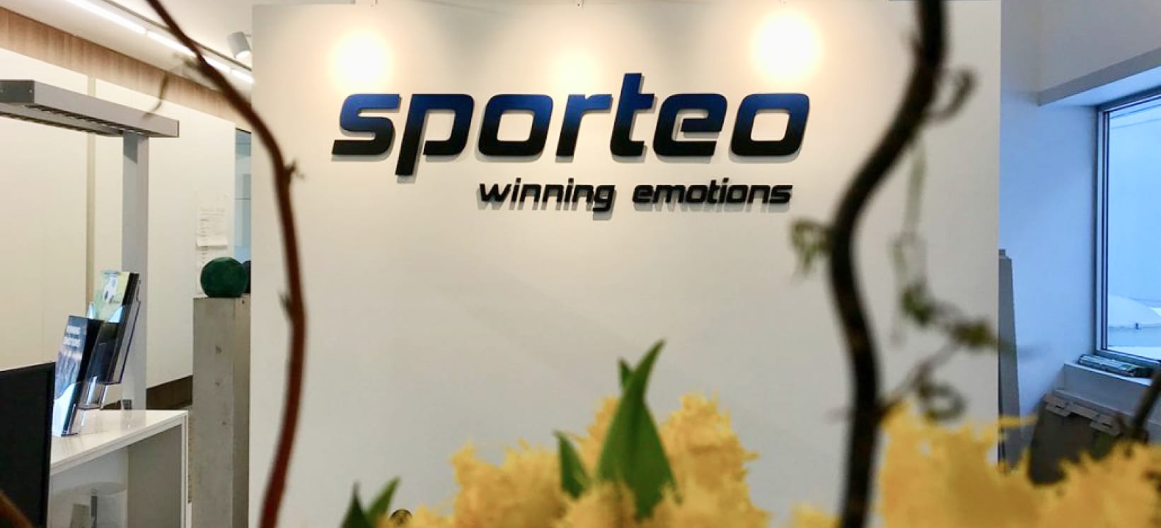 (c) Sporteo.cc